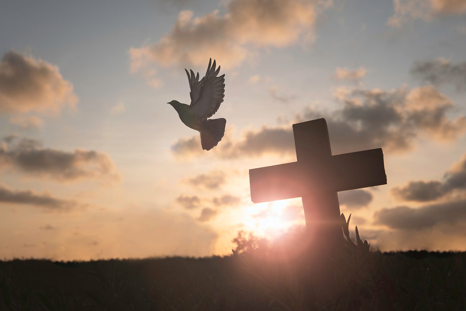 La Palabra de Dios inspirada por el Espíritu Santo
