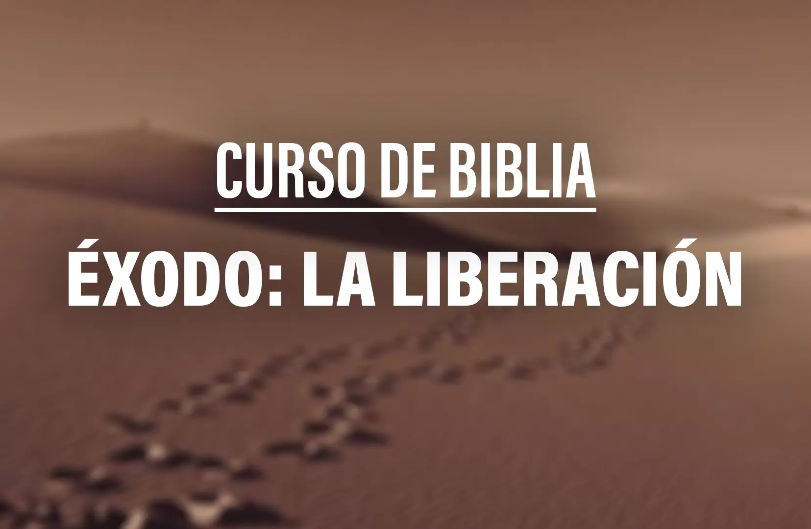 Curso de Biblia: Éxodo – La liberación de Egipto. Impartido por Tais Gea en Bet Tefilá. Inicio: 23 de octubre. 4 sesiones de 10:00 a 12:00 h. ¡Aparta tu lugar!