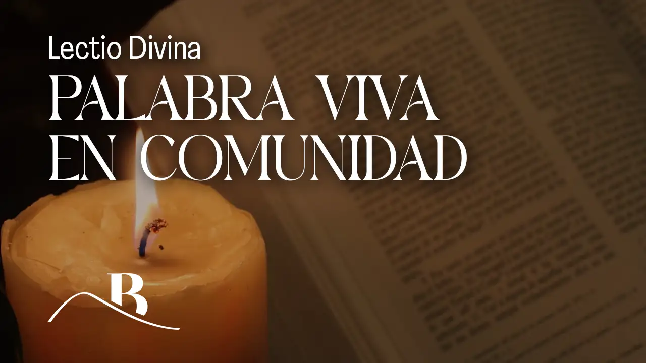 lectio divina palabra viva en comunidad